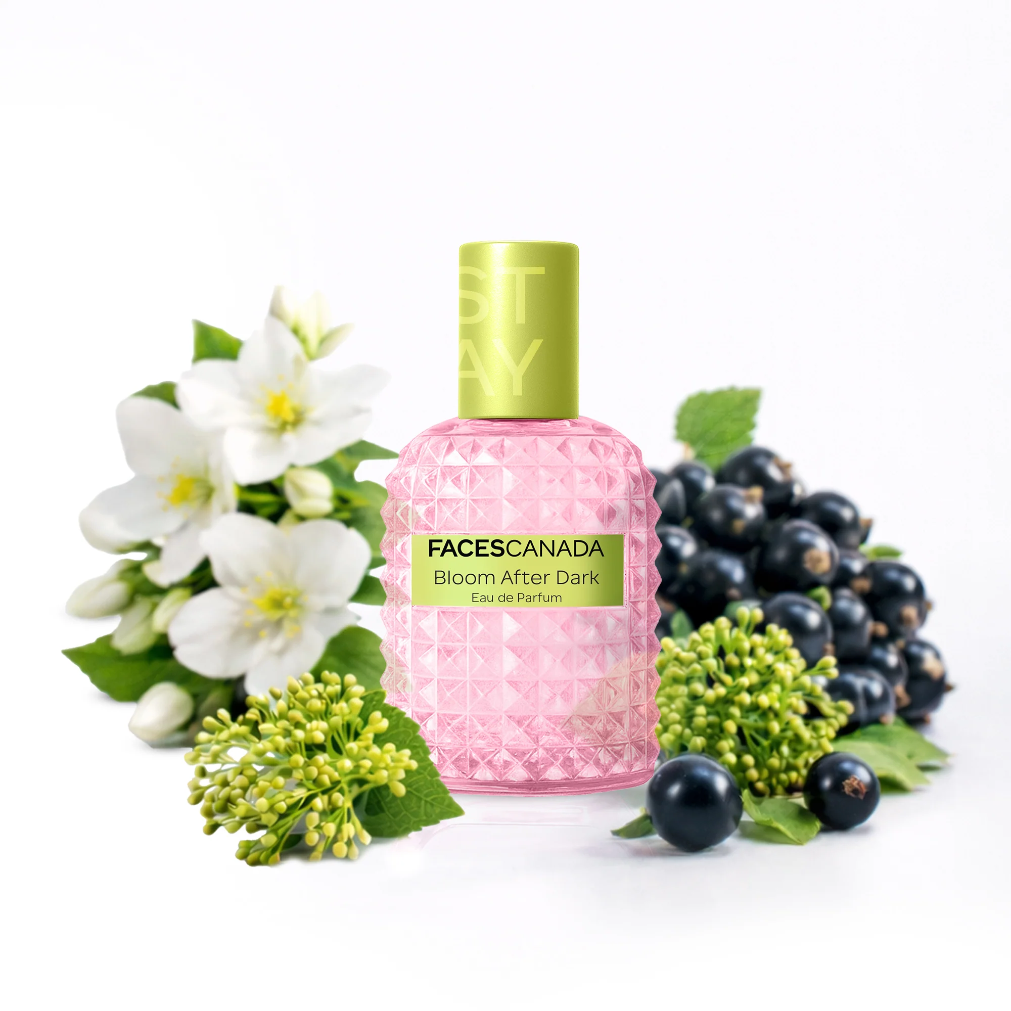 STAY Perfumes - 20 ml - Image 10