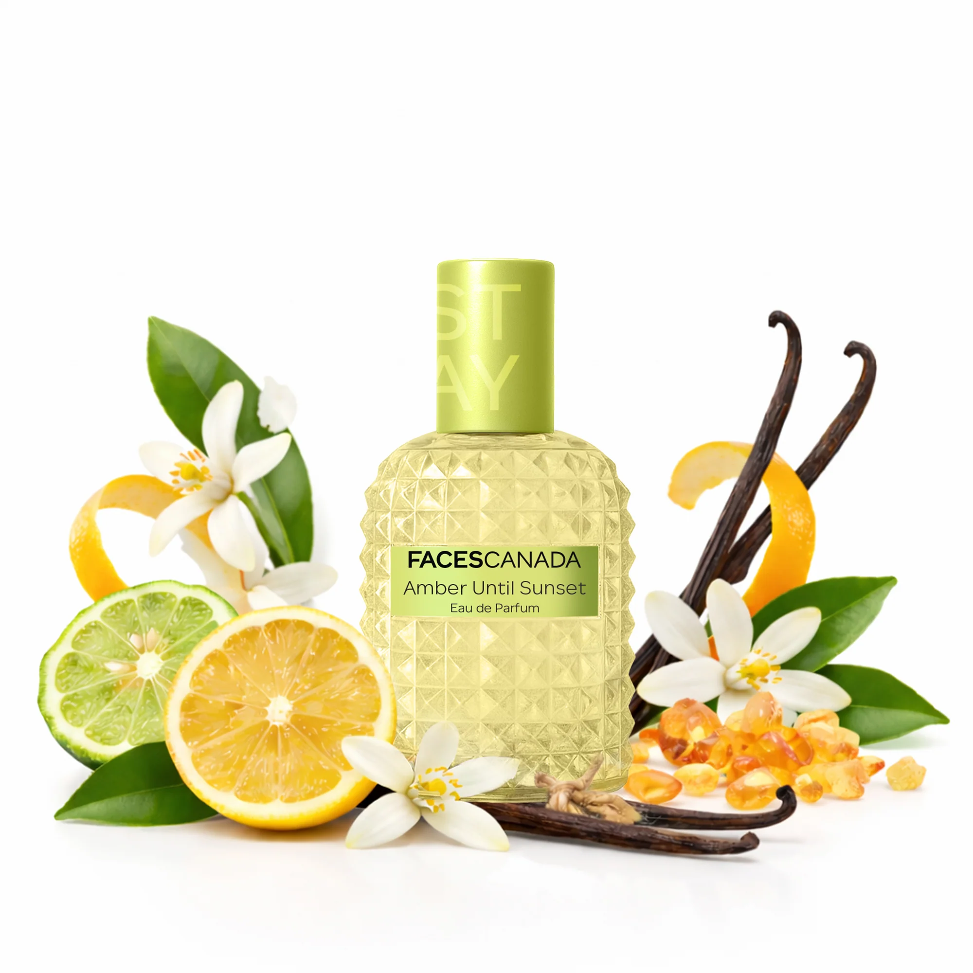 STAY Perfumes - 20 ml - Image 2