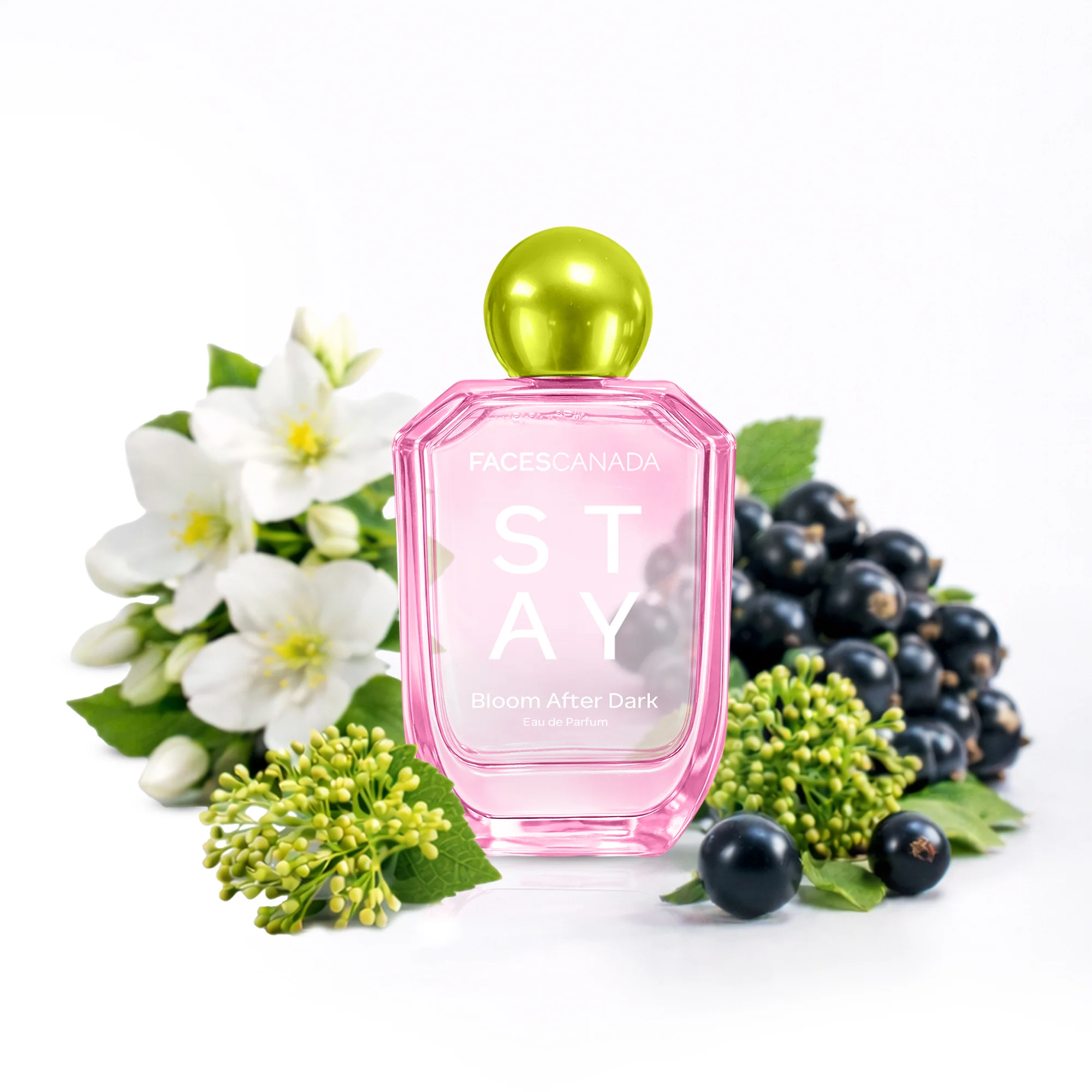 STAY Perfumes - 50 ml - Image 2